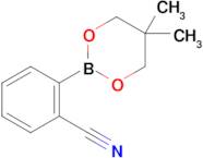 2-(5,5-Dimethyl-1,3,2-dioxaborinan-2-yl)benzonitrile