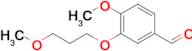 4-Methoxy-3-(3-methoxypropoxy)benzaldehyde