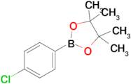 2-(4-Chlorophenyl)-4,4,5,5-tetramethyl-1,3,2-dioxaborolane