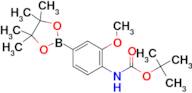 tert-Butyl (2-methoxy-4-(4,4,5,5-tetramethyl-1,3,2-dioxaborolan-2-yl)phenyl)carbamate