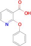 2-Phenoxynicotinic acid