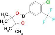 4-Chloro-3-(trifluoromethyl)phenylboronic acid pinacol ester