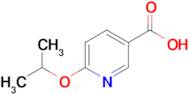 6-Isopropoxynicotinic acid