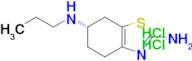 (S)-N6-Propyl-4,5,6,7-tetrahydrobenzo[d]thiazole-2,6-diamine dihydrochloride