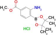 Methyl 3-amino-4-(4,4,5,5-tetramethyl-1,3,2-dioxaborolan-2-yl)benzoate hydrochloride