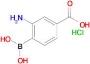 3-Amino-4-boronobenzoic acid hydrochloride