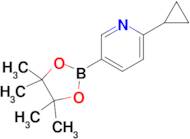 2-Cyclopropyl-5-(4,4,5,5-tetramethyl-1,3,2-dioxaborolan-2-yl)pyridine