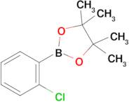 2-(2-Chlorophenyl)-4,4,5,5-tetramethyl-1,3,2-dioxaborolane
