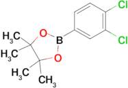 2-(3,4-Dichlorophenyl)-4,4,5,5-tetramethyl-1,3,2-dioxaborolane