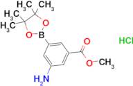 Methyl 3-amino-5-(4,4,5,5-tetramethyl-1,3,2-dioxaborolan-2-yl)benzoate hydrochloride