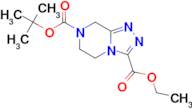 7-tert-Butyl 3-ethyl 5,6-dihydro-[1,2,4]triazolo[4,3-a]pyrazine-3,7(8H)-dicarboxylate