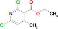 Ethyl 2,6-dichloro-4-methylnicotinate