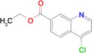Ethyl 4-chloroquinoline-7-carboxylate