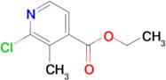 Ethyl 2-chloro-3-methylisonicotinate