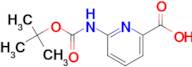 6-((tert-Butoxycarbonyl)amino)picolinic acid