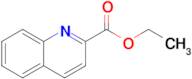 Ethyl quinoline-2-carboxylate