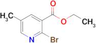 Ethyl 2-bromo-5-methylnicotinate
