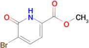 Methyl 5-bromo-6-oxo-1,6-dihydropyridine-2-carboxylate