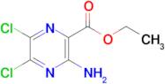 Ethyl 3-amino-5,6-dichloropyrazine-2-carboxylate