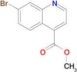 Methyl 7-bromoquinoline-4-carboxylate