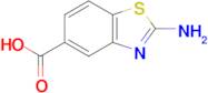 2-Aminobenzothiazole-5-carboxylic acid