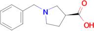 (S)-1-Benzyl-pyrrolidine-3-carboxylic acid