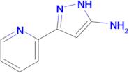 5-Pyridin-2-yl-2H-pyrazol-3-ylamine