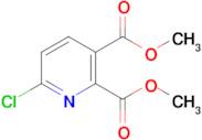 6-Chloropyridine-2,3-dicarboxylic acid dimethyl ester