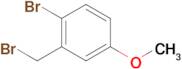 1-Bromo-2-(bromomethyl)-4-methoxybenzene