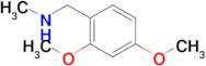 1-(2,4-Dimethoxyphenyl)-N-methylmethanamine