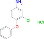 3-Chloro-4-phenoxyaniline hydrochloride