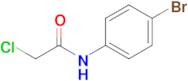 N-(4-Bromophenyl)-2-chloroacetamide