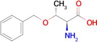(2S,3R)-2-Amino-3-(benzyloxy)butanoic acid