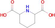 Piperidine-2,6-dicarboxylic acid