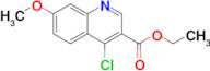 Ethyl 4-chloro-7-methoxy-3-quinolinecarboxylate