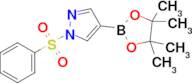 1-(Phenylsulfonyl)-4-(4,4,5,5-tetramethyl-1,3,2-dioxaborolan-2-yl)-1H-pyrazole