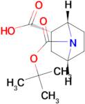 (1S,2S,4R)-7-(tert-Butoxycarbonyl)-7-azabicyclo[2.2.1]heptane-2-carboxylic acid