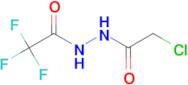1-(Chloroacetyl)-2-(trifluoroacetyl)hydrazine