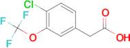 2-(4-Chloro-3-(trifluoromethoxy)phenyl)acetic acid