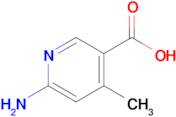 6-Amino-4-methylnicotinic acid