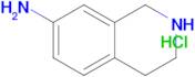 1,2,3,4-Tetrahydroisoquinolin-7-amine hydrochloride