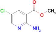 Methyl 2-amino-5-chloronicotinate