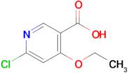 6-Chloro-4-ethoxynicotinic acid