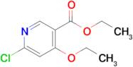 Ethyl 6-chloro-4-ethoxynicotinate