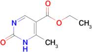 Ethyl 2-hydroxy-4-methylpyrimidine-5-carboxylate