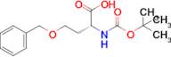 Boc-D-Hse(Bzl)-OH