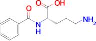 (S)-5-amino-2-benzamidopentanoic acid