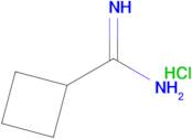 Cyclobutanecarboximidamide hydrochloride