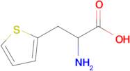 2-Amino-3-(thiophen-2-yl)propanoic acid