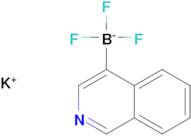 Potassium trifluoro(isoquinolin-4-yl)borate